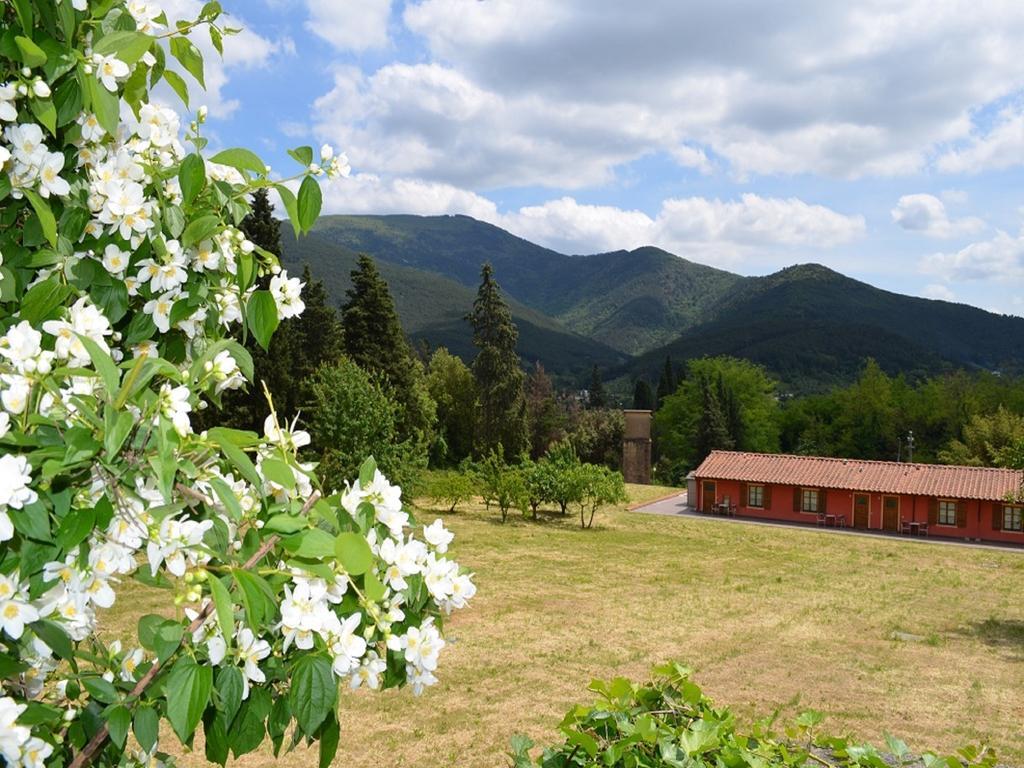 Rinascimento Depandance Lucques